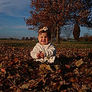 Eliana joined the competition — help win amazing prizes! toddler, child, autumn, leaves, outdoor, smiling, happy, nature, tree, fall, sweater, headband, grass, park, seasonal, sunlight, playful, person, cute, portrait