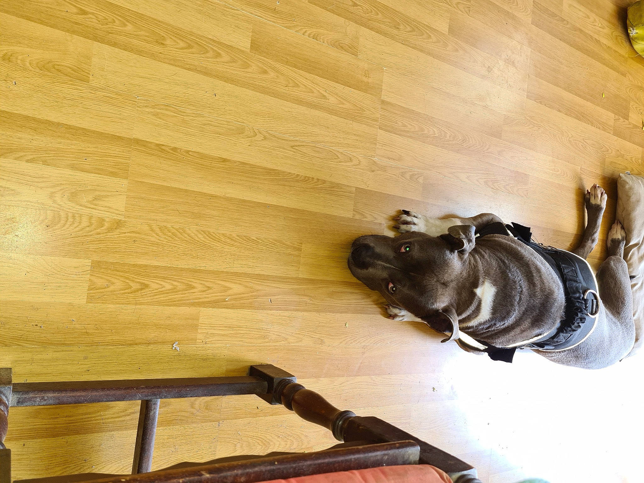 Oksana participe au concours pour gagner de l'argent avec cette photo : ceiling, floor, flooring, glove, hardwood, human_leg, laminate_flooring, lumber, metal, pattern, personal_protective_equipment, plank, plywood, safety_glove, sculpture, tints_and_shades, varnish, wood, wood_flooring, wood_stain