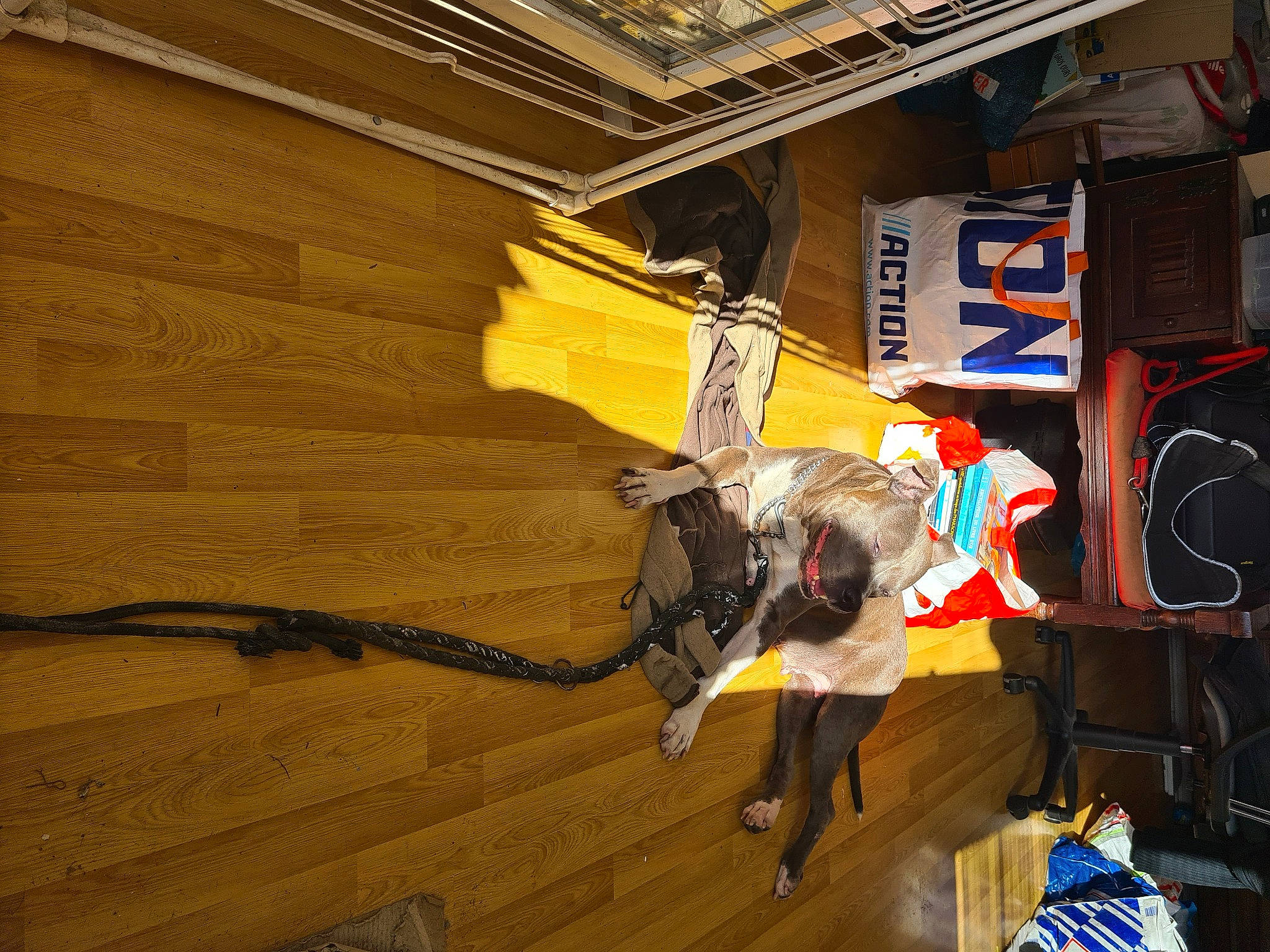 Oksana a rejoint le concours — aidez-le/la à gagner de superbes lots ! art, bull, event, facade, flooring, font, hardwood, landscape, room, sculpture, tail, tradition, tree, visual_arts, wood, wood_flooring, wood_stain, working_animal