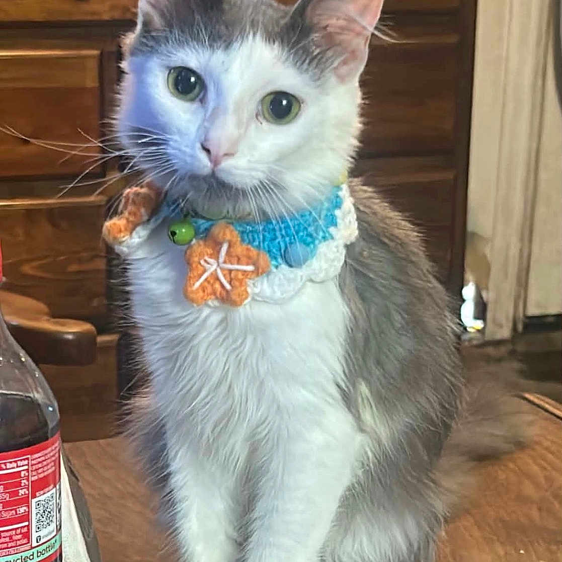Peanut