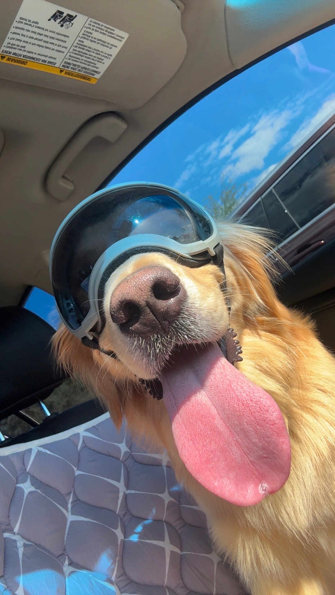 Tucker