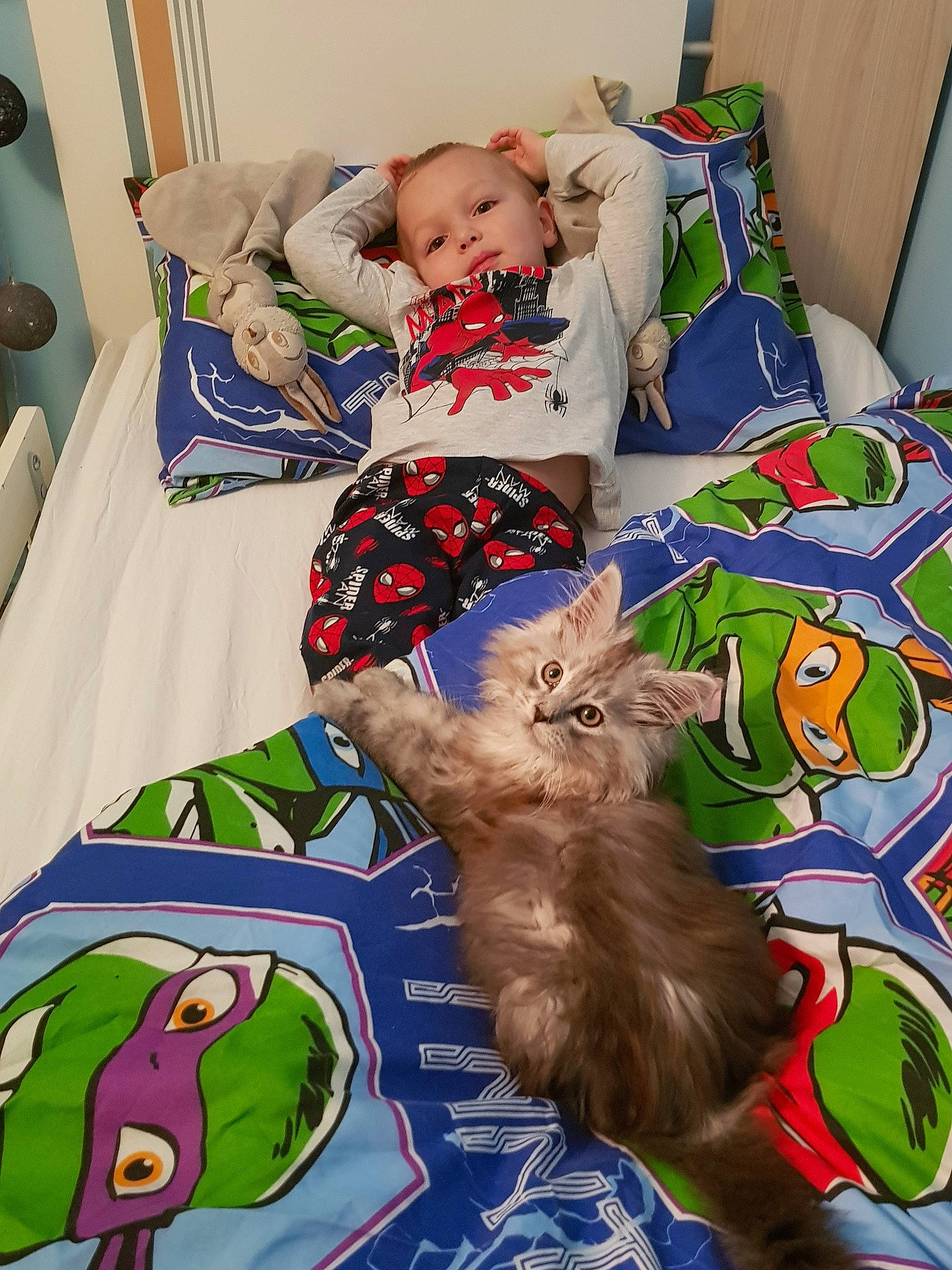 Norton a rejoint le concours — aidez-le/la à gagner de superbes lots ! baby_products, bed, bedding, bedtime, carnivoran, cat, cat_like_mammal, child, infant, kitten, mammal, nap, person, play, product, room, small_to_medium_sized_cats, textile, toddler, toy