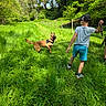 Upy a rejoint le concours — aidez-le/la à gagner de superbes lots ! active, animal, boy, canine, cap, child, dog, field, grass, greenery, happy, nature, outdoor, pet, playing, shorts, stick, summer, sunlight, trees
