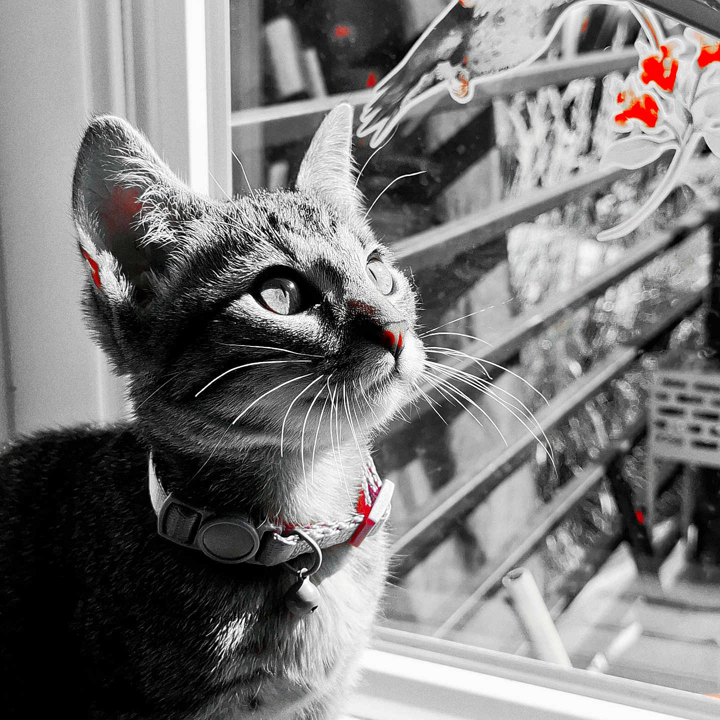 Yumi