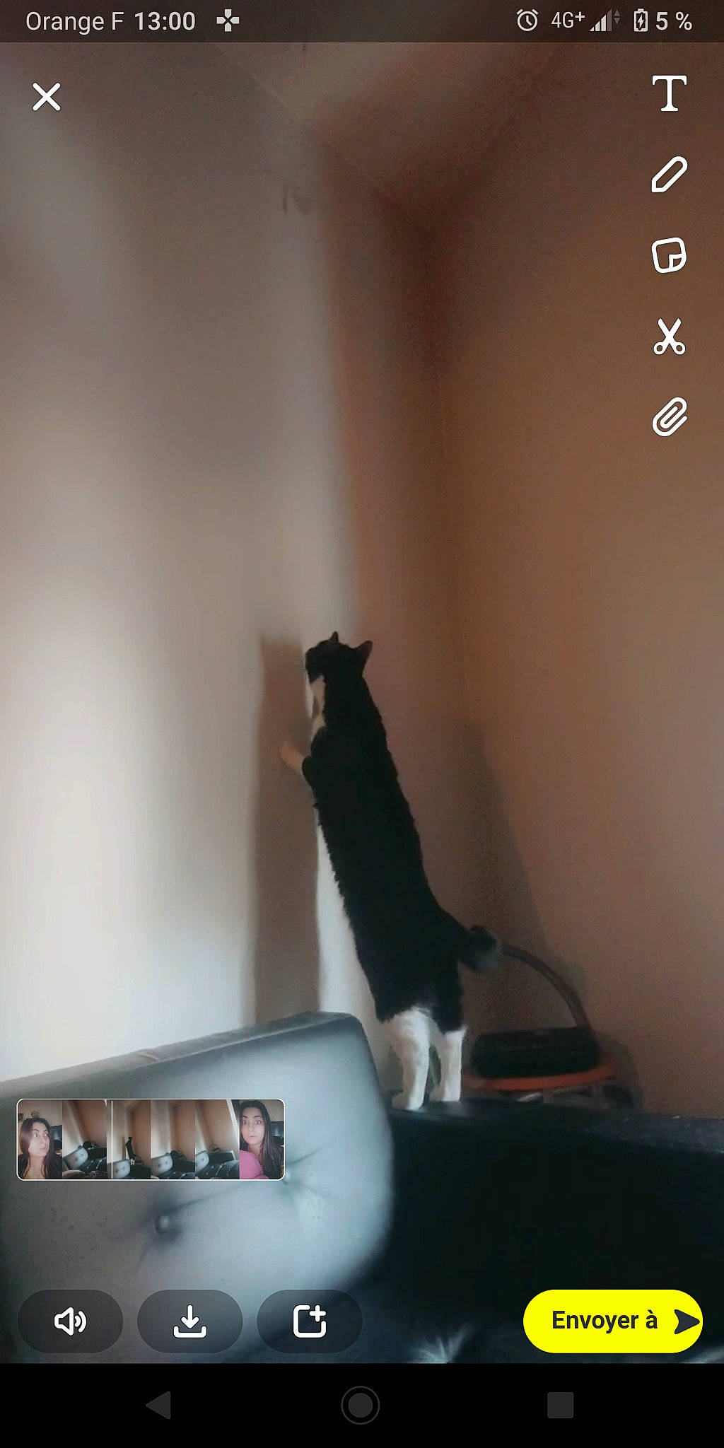 Meugui participe au concours pour gagner de l'argent avec cette photo : carnivore, cat, comfort, couch, darkness, domestic_short_haired_cat, felidae, font, fur, grey, hardwood, mammal, room, shadow, shelf, small_to_medium_sized_cats, tail, tints_and_shades, whiskers, wood