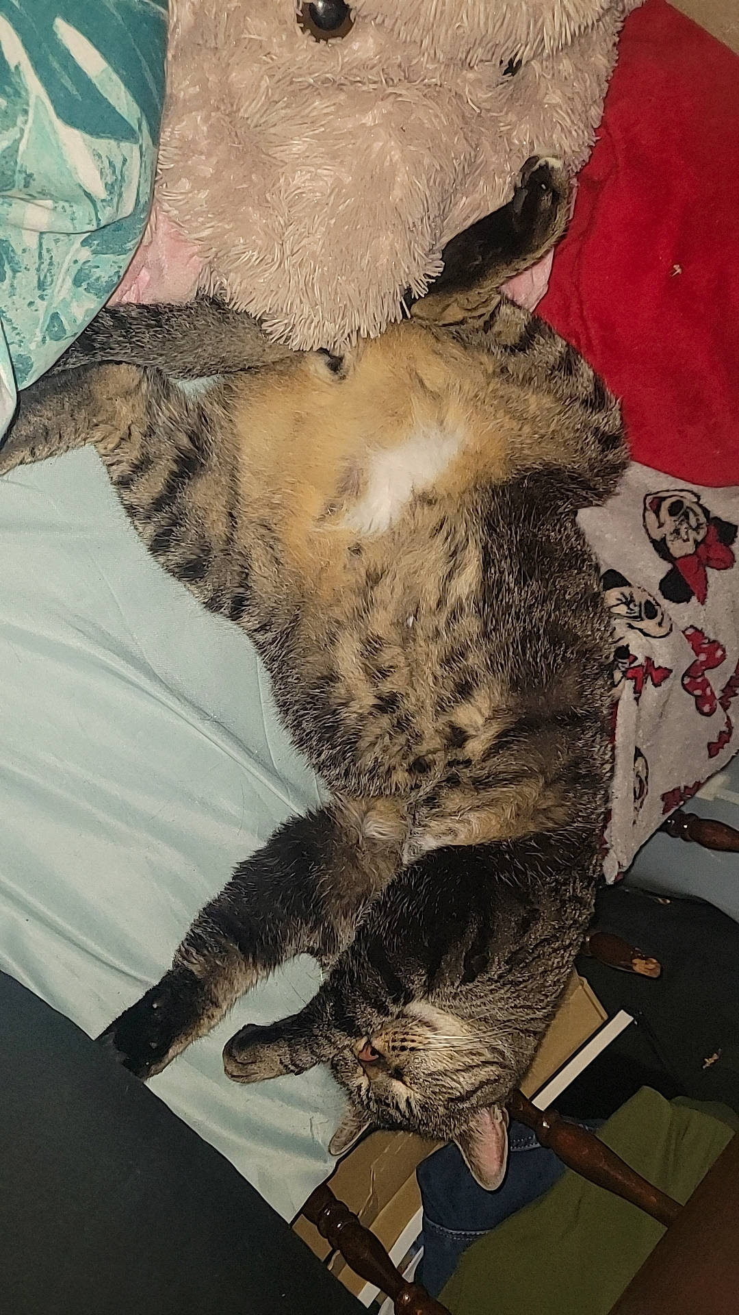 Leo participe au concours pour gagner de l'argent avec cette photo : art, big_cats, camouflage, carnivore, claw, falconiformes, feather, felidae, fur, illustration, military_camouflage, pattern, paw, small_to_medium_sized_cats, snout, tail, terrestrial_animal, visual_arts, whiskers, wildlife