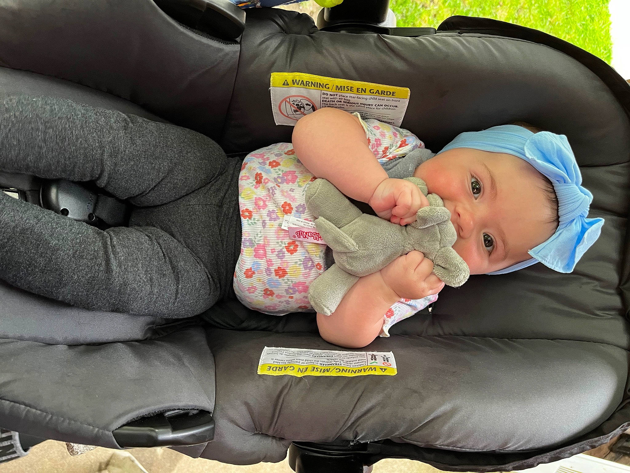 Jaylee is registered to the contest to win money with this photo: auto_part, baby, baby_carriage, baby_products, baby_sleeping, baby_toddler_clothing, car_seat, child, comfort, finger, gesture, grass, hat, headwear, lap, nap, person, sitting, sleep, thigh
