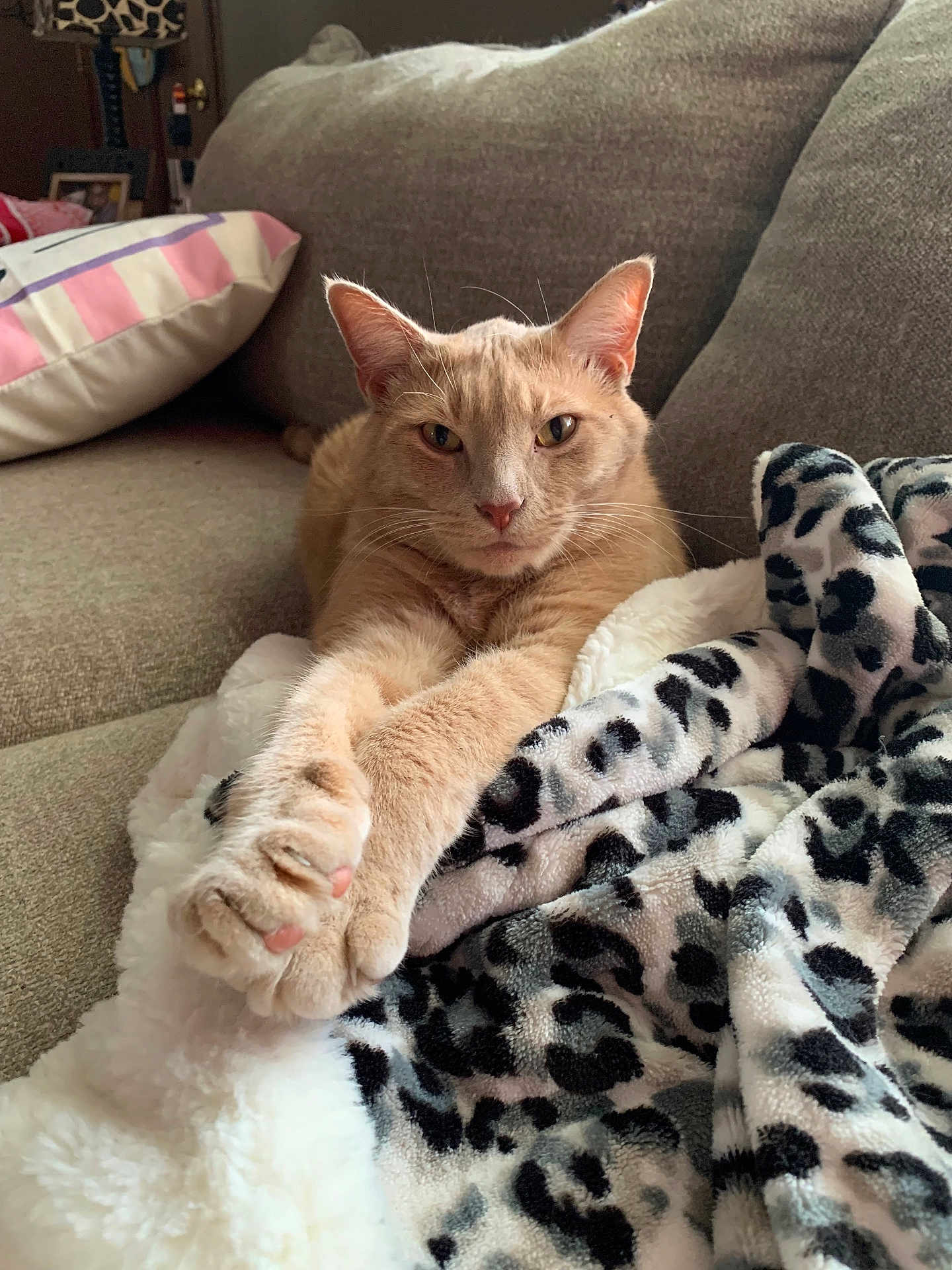 Tigger