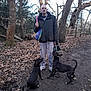 man, dog, leash, forest, trees, leaves, path, jacket, pants, sneakers, pet, outdoor, nature, animal, playful, walking, winter, brown, black_dog, canine