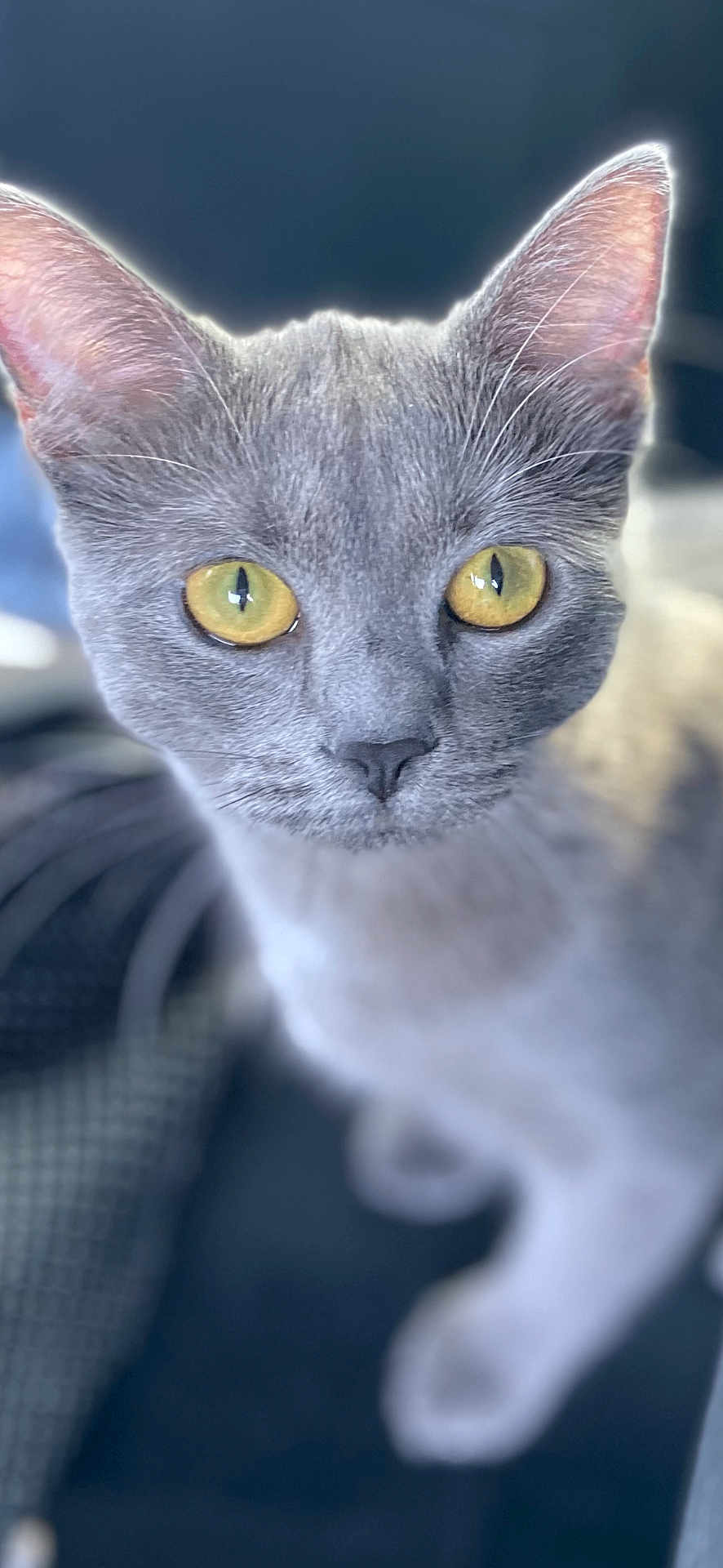 Nana