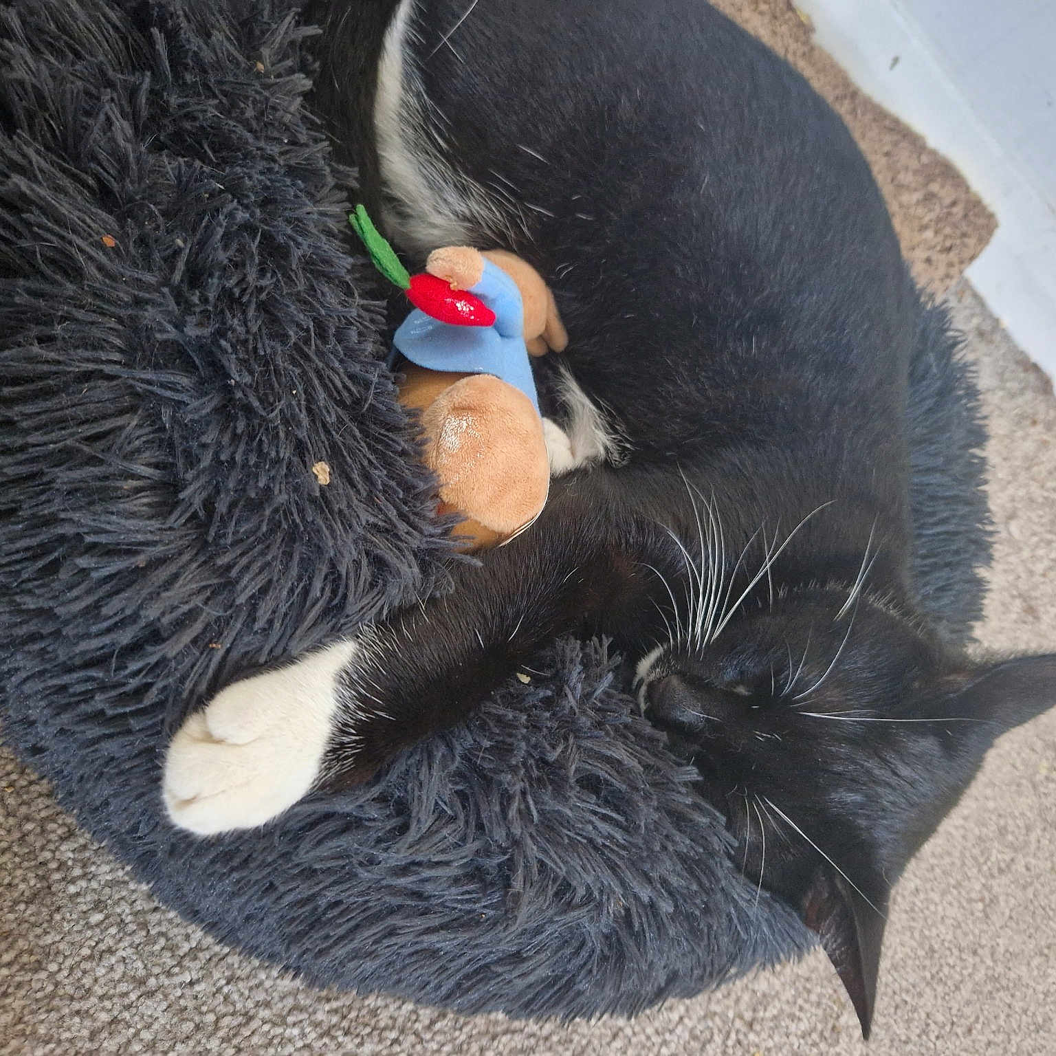 Max