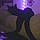 Binx
