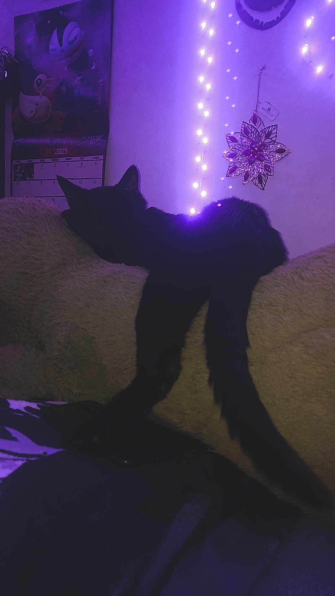 Binx