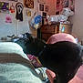 Binx joined the competition — help win amazing prizes! black_cat, cat, chair, stuffed_animal, dalmation_plush, dresser, wall_art, poster, mask, room, indoor, furniture, decorations, plastic_bag, guitar, blanket, window_light, shadow, cozy, clutter
