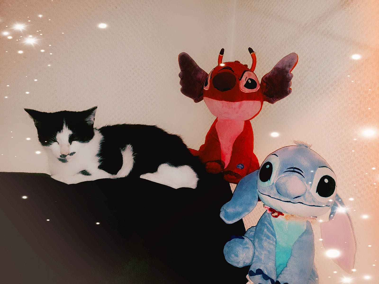 Nugget a rejoint le concours — aidez-le/la à gagner de superbes lots ! animated_cartoon, animation, art, carmine, cat, design, event, facial_expression, felidae, fictional_character, font, fur, gesture, happy, mascot, small_to_medium_sized_cats, snapshot, tail, toy, whiskers