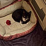 Marceline is registered to the contest to win money with this photo: kitten, cat, pet_bed, toy, blanket, indoor, furniture, black_and_white, tuxedo_cat, resting, cozy, small, cute, animal, fur, whiskers, ears, paws, domestic_cat, sleeping_spot