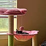 cat, kitten, cat_tree, hammock, toy, pom_pom, window, natural_light, indoor, pet, furniture, cozy, black_cat, curious, resting, carpeted, animal, home, playful, soft