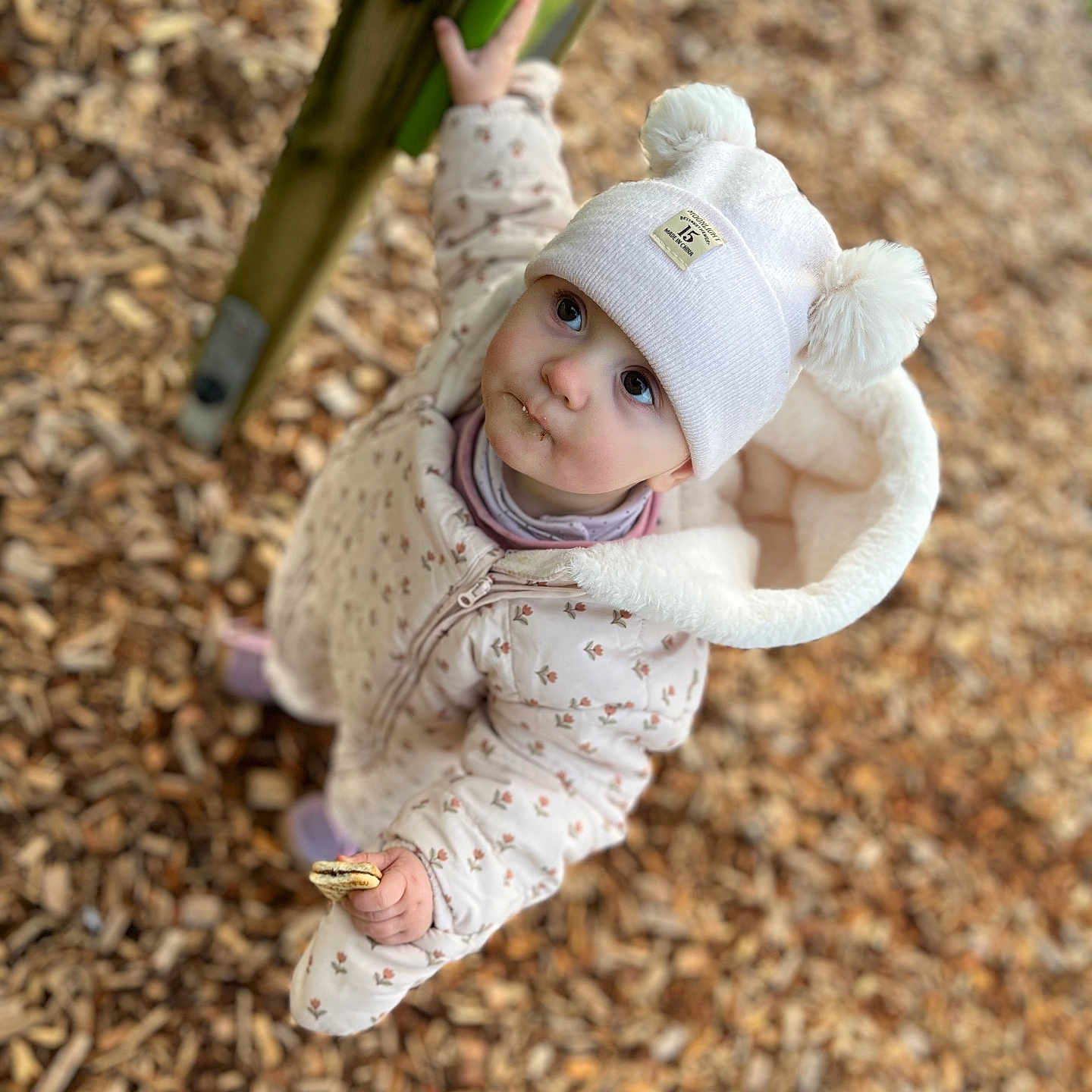 Seona a rejoint le concours — aidez-le/la à gagner de superbes lots ! baby, bonnet, cap, clothing, coat, face, grass, hat, head, jacket, nature, outdoorplayarea, outdoors, park, person, photography, plant, playarea, portrait, toy