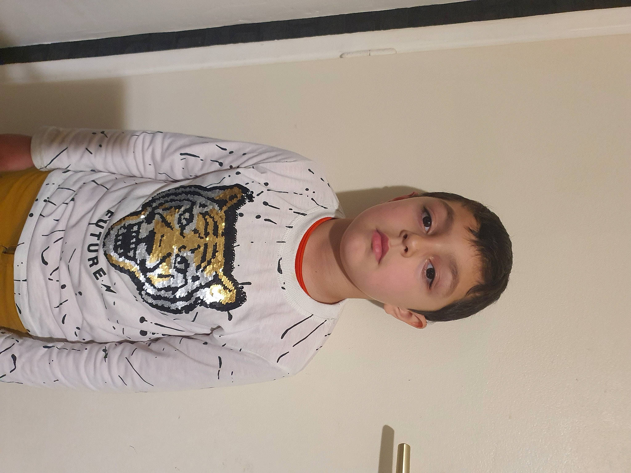 Eyaan a rejoint le concours — aidez-le/la à gagner de superbes lots ! art, baby, bengal_tiger, big_cats, carnivore, child, felidae, font, fur, human_body, jaw, person, room, siberian_tiger, sleeve, small_to_medium_sized_cats, tiger, toddler, visual_arts, whiskers