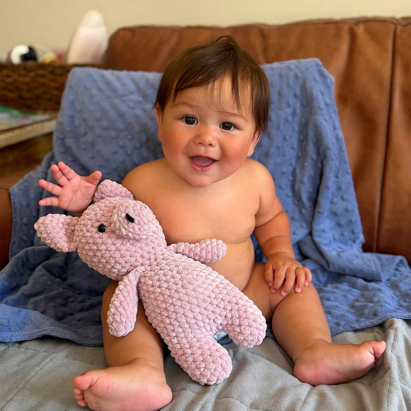 Coyote is registered to the contest to win money with this photo: baby, child, plush_toy, pig, blanket, couch, happy, smiling, sitting, indoors, cute, soft_toy, toddler, person, skin, furniture, hand, foot, face, hair