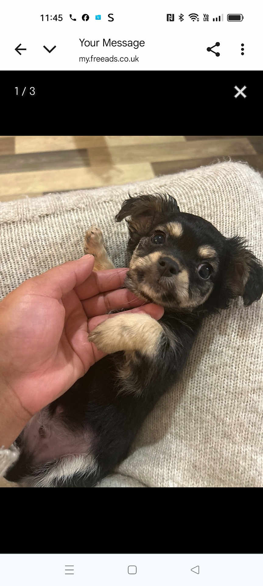 Archie