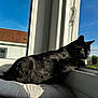 black_cat, cat, windowsill, window, cushion, sunlight, blue_sky, outdoor_view, house_roof, pet, animal, feline, resting, looking_out, domestic_cat, daytime, shadow, fur, indoor, window_frame