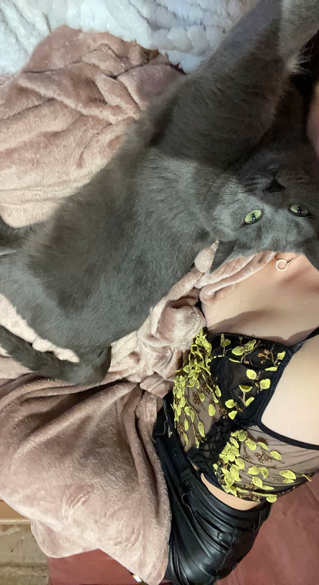 Shadow participe au concours pour gagner de l'argent avec cette photo : abdomen, black_hair, carnivore, comfort, dress, felidae, formal_wear, fur, gesture, grey, human_leg, sitting, small_to_medium_sized_cats, sunglasses, tail, textile, thigh, trunk, waist, whiskers