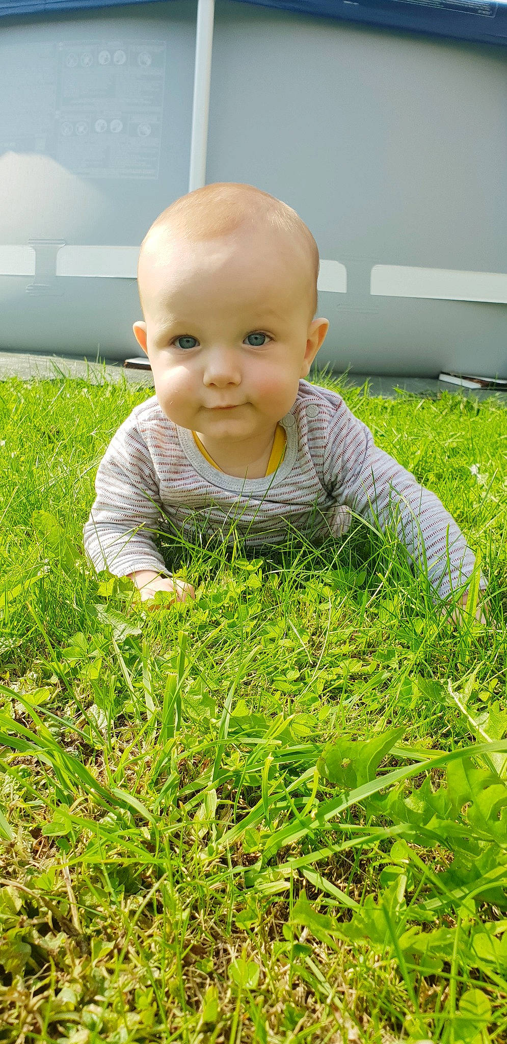 Lyam participe au concours pour gagner de l'argent avec cette photo : baby, baby_toddler_clothing, child, crawling, flooring, fun, grass, grass_family, grassland, groundcover, happy, lawn, meadow, people_in_nature, person, plant, sitting, skin, smile, t_shirt