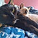 Harlow And Lilly