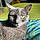 Chipie