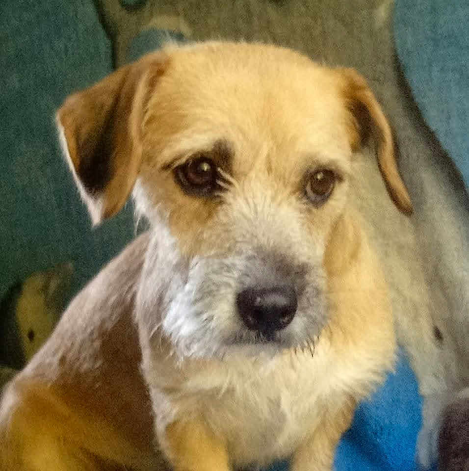 Louna
