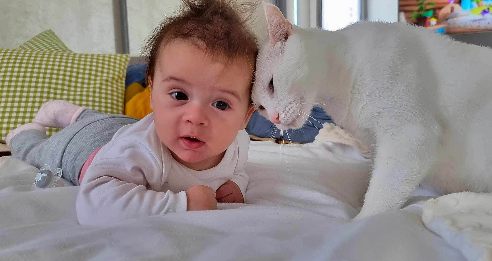Murzik a rejoint le concours — aidez-le/la à gagner de superbes lots ! baby, cat, white_cat, bed, pillow, blanket, indoor, child, pet, cute, curious, fur, toddler, soft_light, resting, closeup, expression, comfort, home, interaction