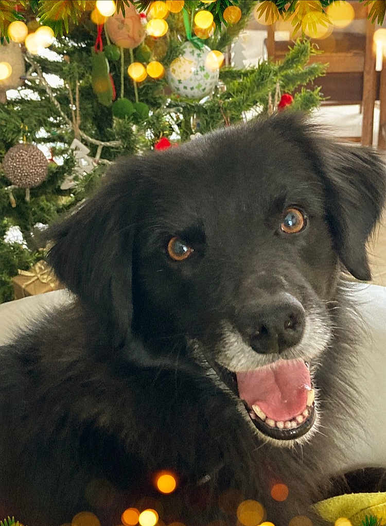 Malko