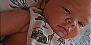 Remy joined the competition — help win amazing prizes! baby, infant, blanket, bib, plush_toy, sleeping_area, animal_print, closeup, face, child, newborn, cute, soft_toy, patterned_cloth, resting, indoors, person, portrait, young, comfort