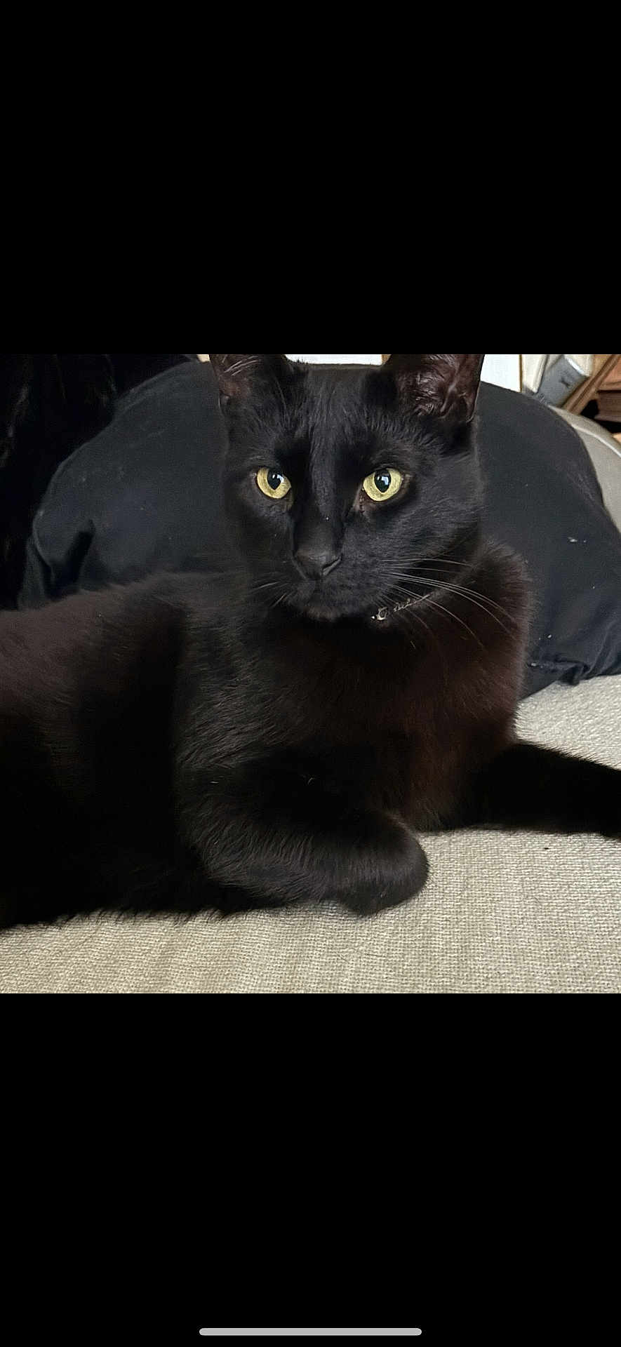 Axel