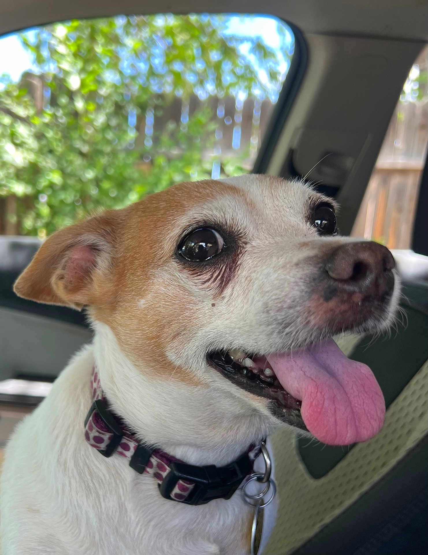 Penny