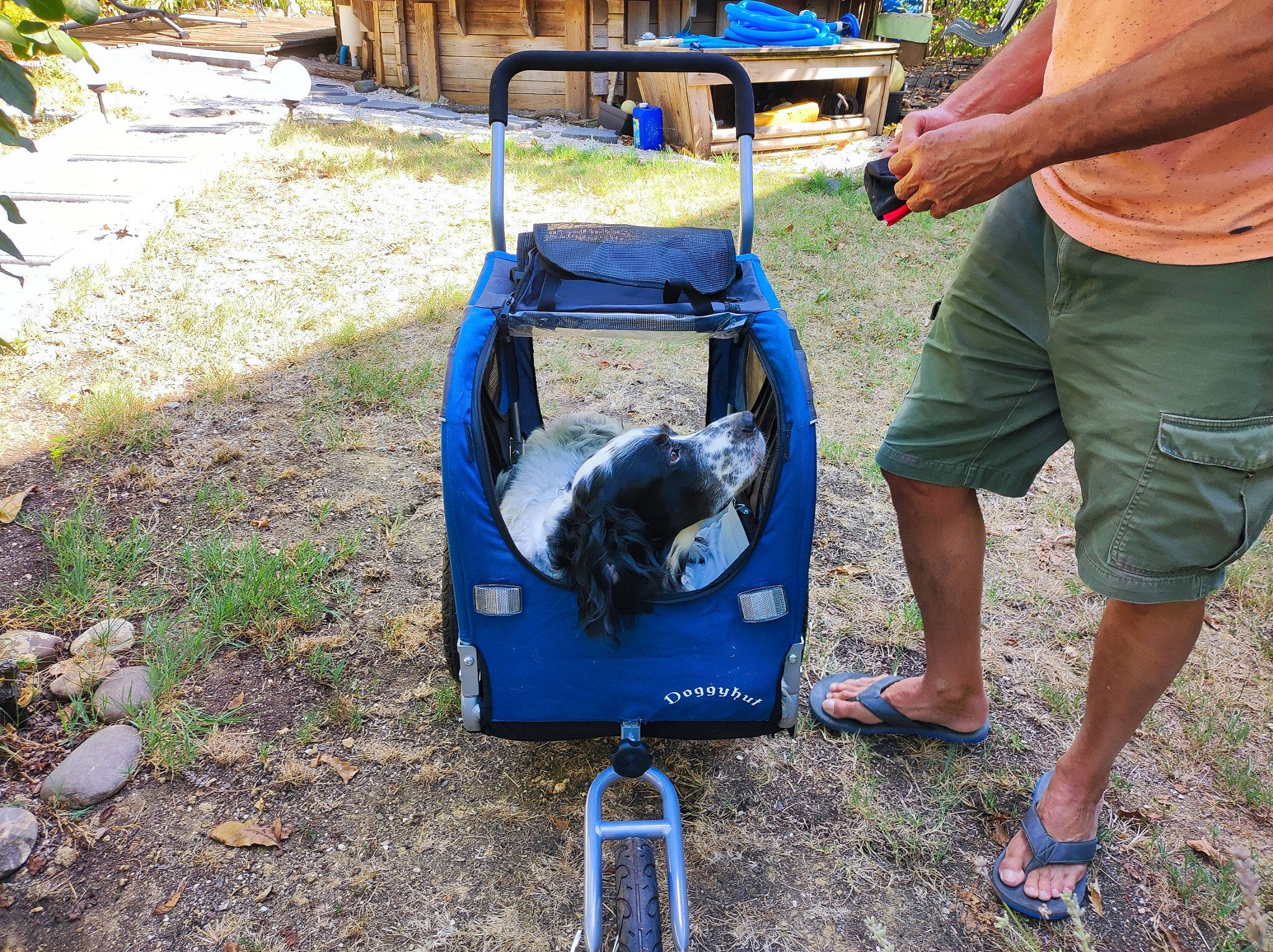 Gringo a rejoint le concours — aidez-le/la à gagner de superbes lots ! asphalt, auto_part, automotive_exterior, automotive_wheel_system, bermuda_shorts, cooking, electric_blue, fun, gas, grass, human_leg, leisure, motor_vehicle, plant, sandal, shorts, soil, sporting_group, tire, wheel