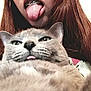 animal, braces, cat, close_up, cute, domestic_animal, expression, face, feline, funny, gray_cat, hair, human, indoor, person, pet, playful, portrait, tongue, tongue_out