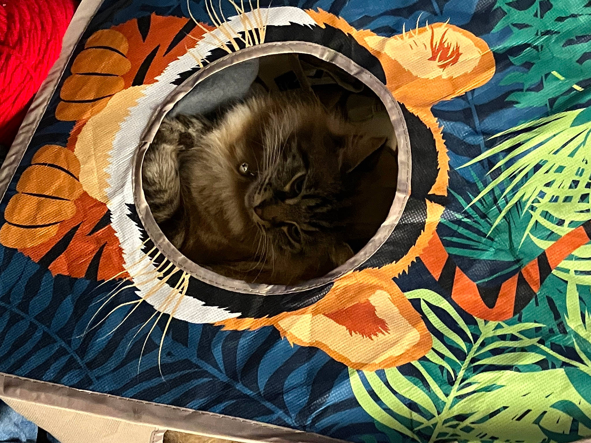 Leo is registered to the contest to win money with this photo: art, carnivore, cat, cat_bed, cat_supply, comfort, domestic_short_haired_cat, drawing, felidae, fur, illustration, linens, nap, painting, pattern, pet_supply, small_to_medium_sized_cats, tail, visual_arts, whiskers