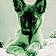 Luka Holland