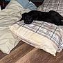 puppy, dog, black_dog, lying_down, pillow, blanket, plaid, wooden_floor, indoor, pet, cute, resting, cozy, young_dog, animal, fur, looking_up, home, comfort, relaxed