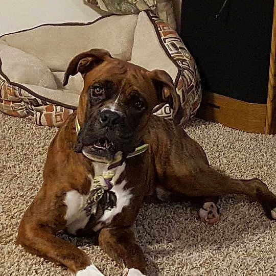 Jax