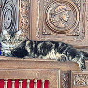Toulane participe au concours pour gagner de l'argent avec cette photo : animal, carved_wood, cat, decorative, domestic, ears, eyes, feline, furniture, indoor, lounging, ornate, paw, pet, relaxed, resting, tabby, tail, whiskers, wooden_cabinet