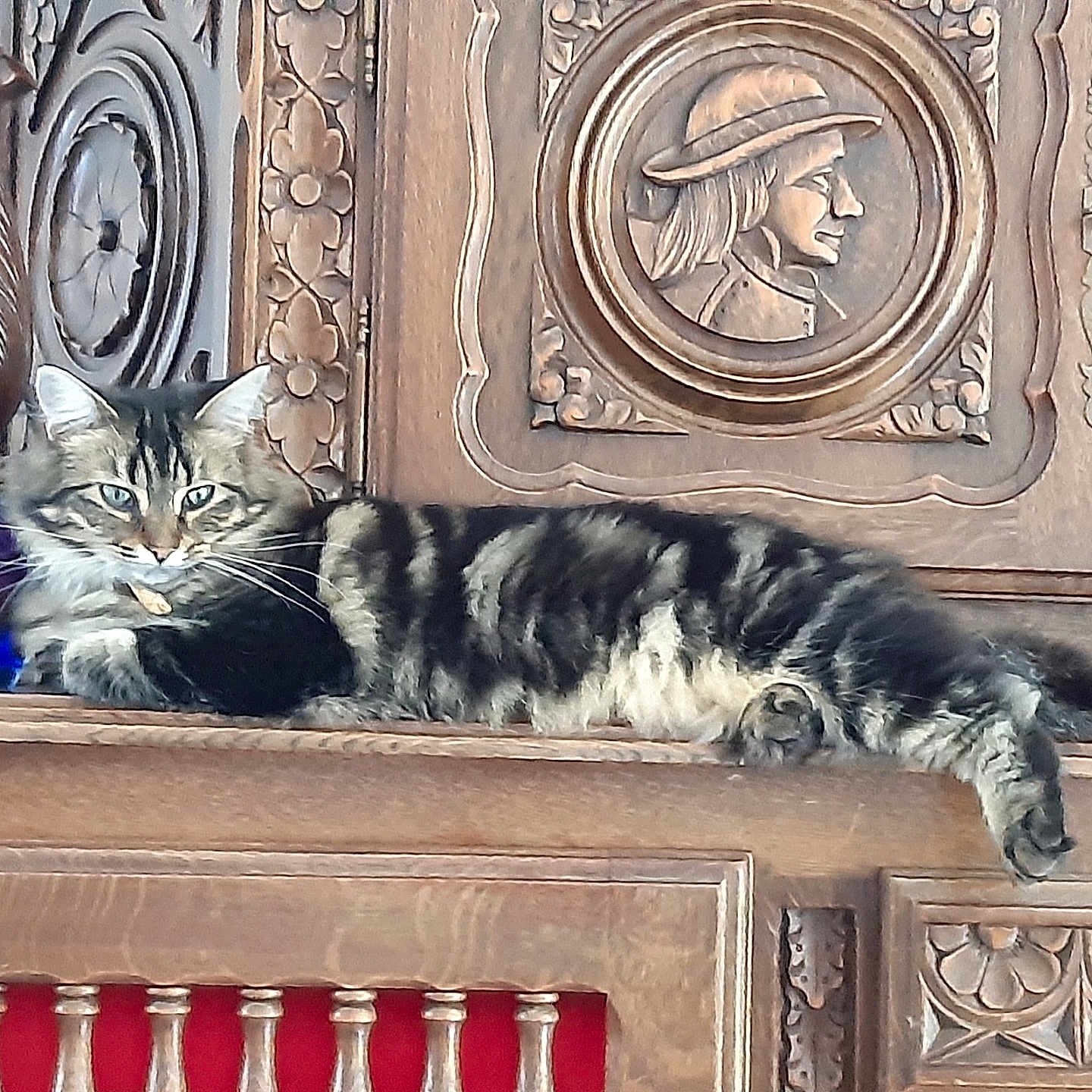 Toulane participe au concours pour gagner de l'argent avec cette photo : animal, carved_wood, cat, decorative, domestic, ears, eyes, feline, furniture, indoor, lounging, ornate, paw, pet, relaxed, resting, tabby, tail, whiskers, wooden_cabinet