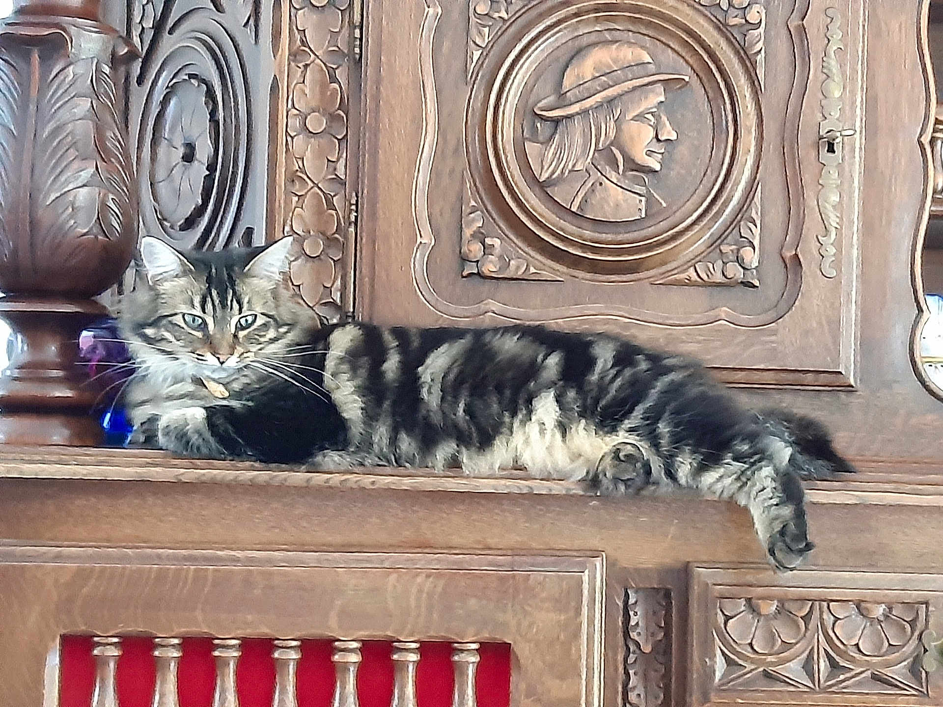 Toulane participe au concours pour gagner de l'argent avec cette photo : animal, carved_wood, cat, decorative, domestic, ears, eyes, feline, furniture, indoor, lounging, ornate, paw, pet, relaxed, resting, tabby, tail, whiskers, wooden_cabinet