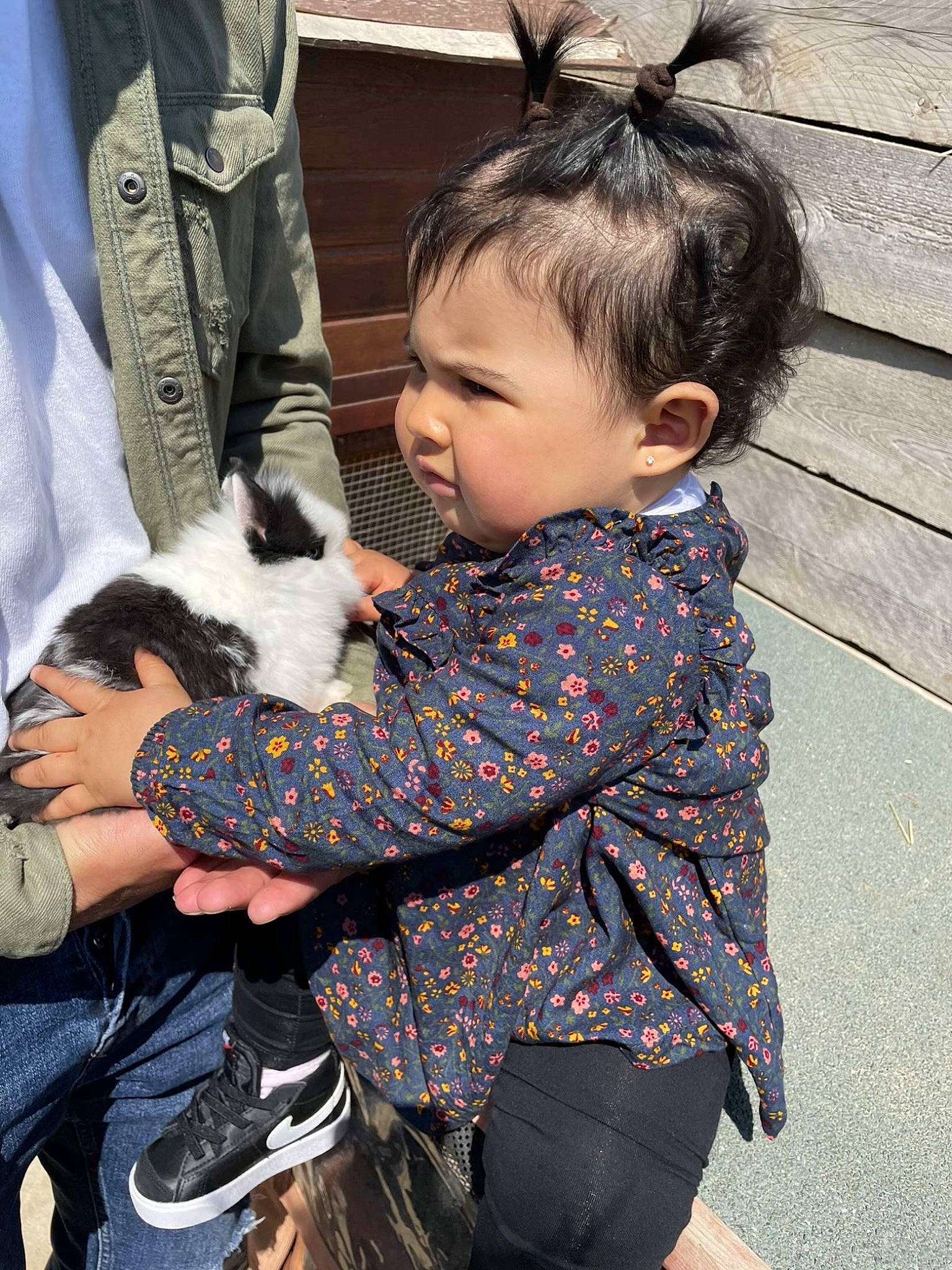 Mayra a rejoint le concours — aidez-le/la à gagner de superbes lots ! baby, baby_toddler_clothing, child, companion_dog, facial_expression, fawn, grass, hairstyle, happy, lap, leg, person, shoe, skin, sleeve, snapshot, sneakers, textile, thigh, toddler