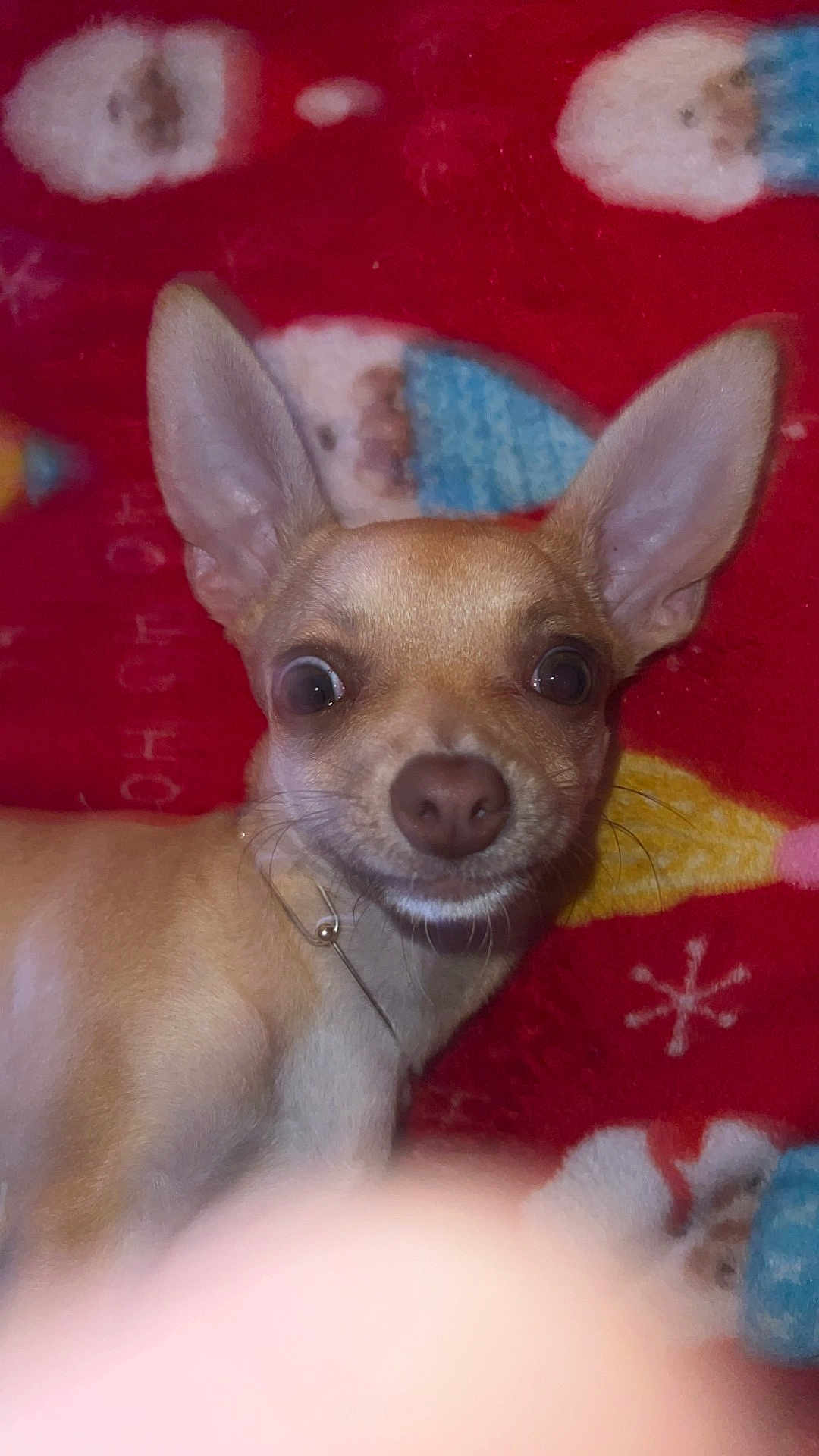 Tater
