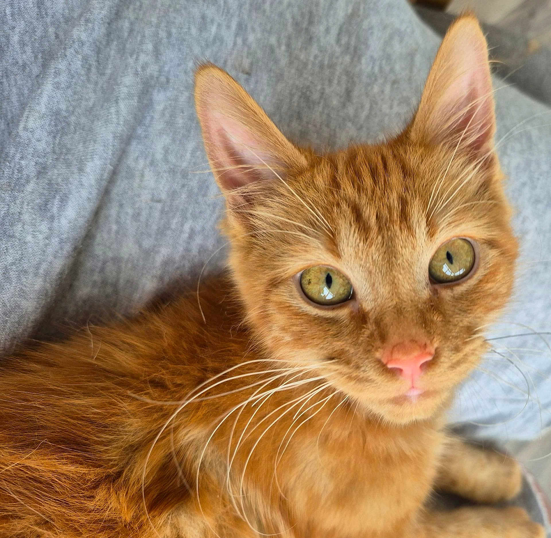 Rupert