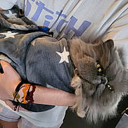 Aslan participe au concours pour gagner de l'argent avec cette photo : animal, arm, blanket, bracelet, cat, cozy, cute, fluffy_cat, fur, gray_cat, grumpy_expression, hands, holding, indoor, person, pet, portrait, star_pattern, tshirt, yellow_eyes