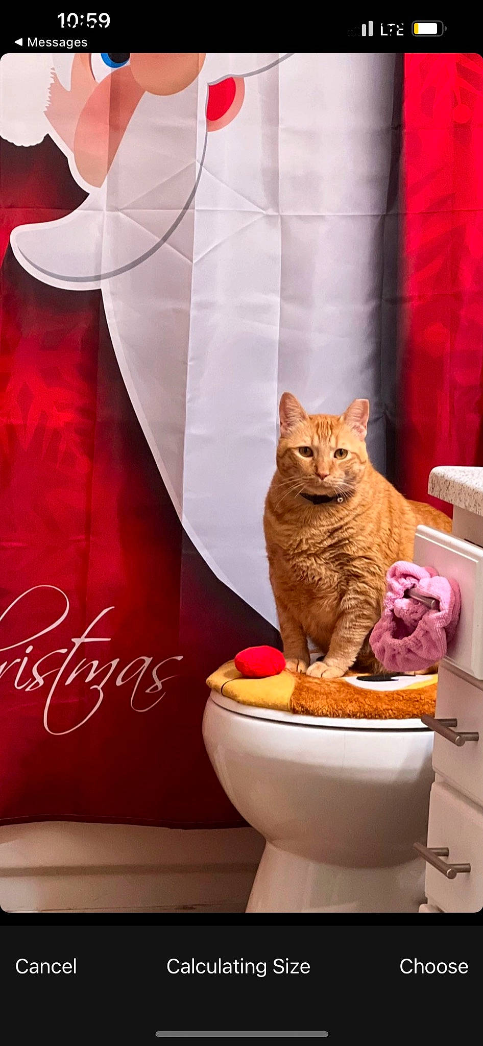 Tigger is registered to the contest to win money with this photo: animal_feed, carnivore, cat, cat_food, cat_supply, domestic_short_haired_cat, fawn, felidae, font, fur, household_supply, pet_food, pet_supply, pink, serveware, small_to_medium_sized_cats, snout, sweetness, tail, whiskers